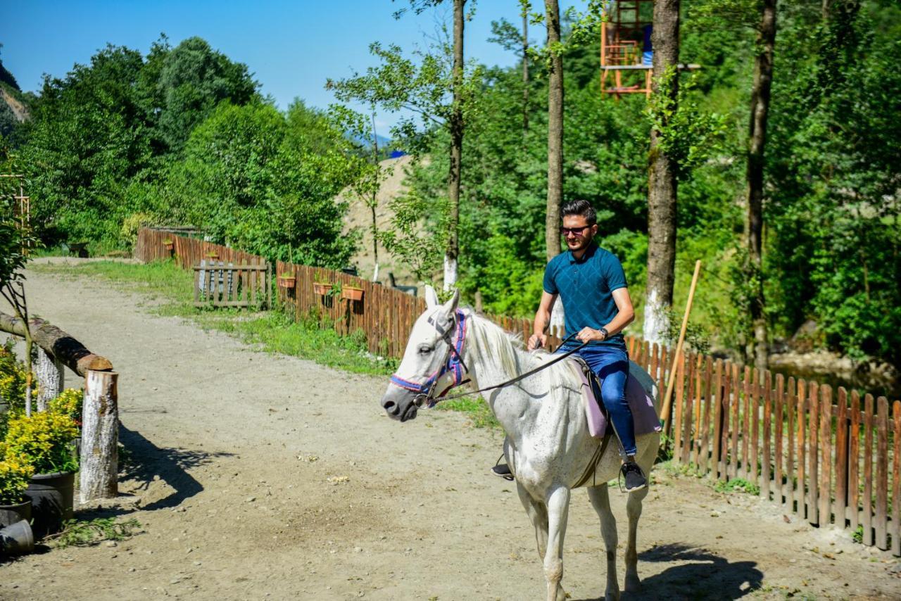Naturkoy Sapanca Sakarya  Exterior foto